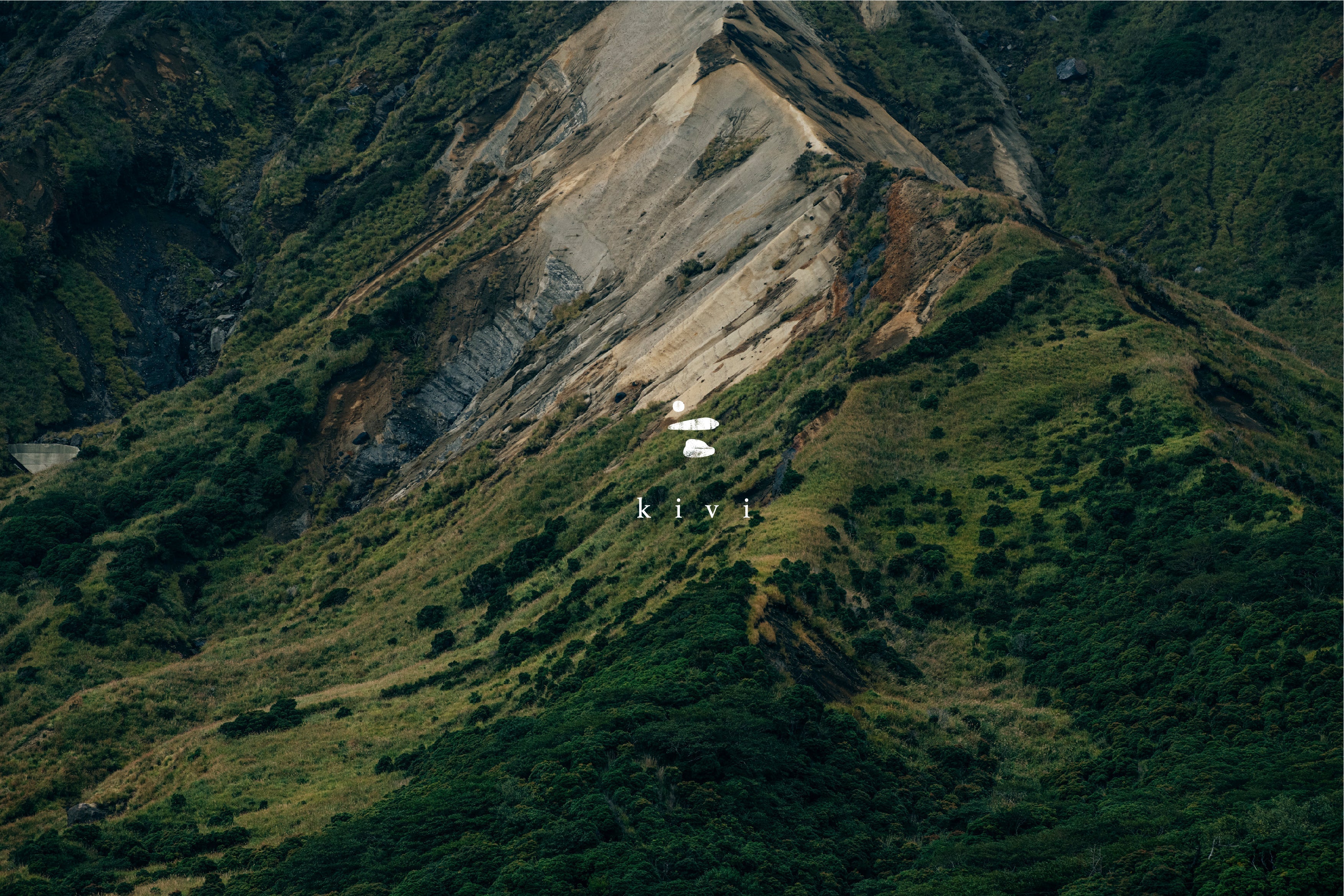 kivi